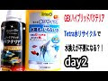 熱帯魚 水換え バクテリア 659348