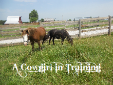 A Cowgirl in Training