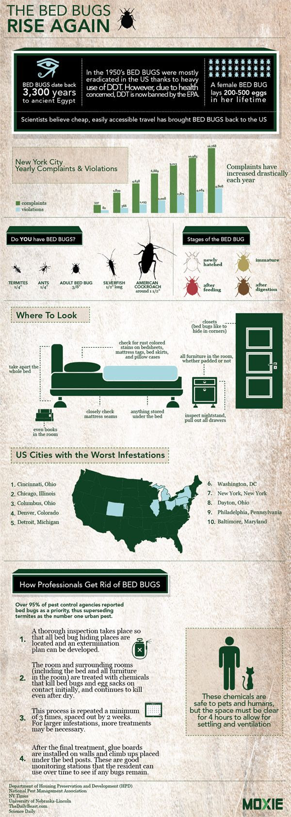 Bed Bug Infographic - uh...wow? And Denver made the list. ARGH!