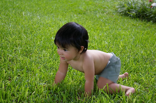 IMGP3546.JPG