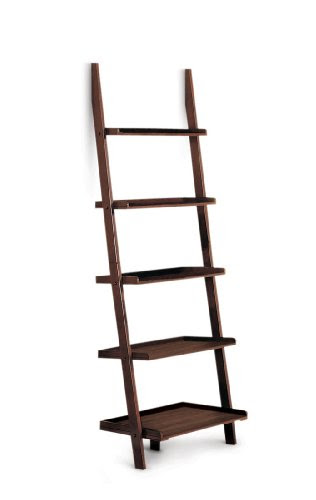 Christmas Poundex 5-Tier Leaning Wall Shelf, Cappuccino Deals