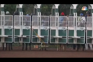 Top 5 Ways To Find Longshots From Timeformus