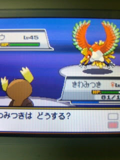 ｖｓホウオウ 徒然駄目日記