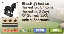 Black Friesian Market Info 
