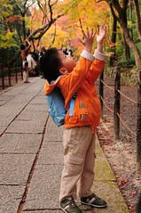 DSC_0524_光明寺
