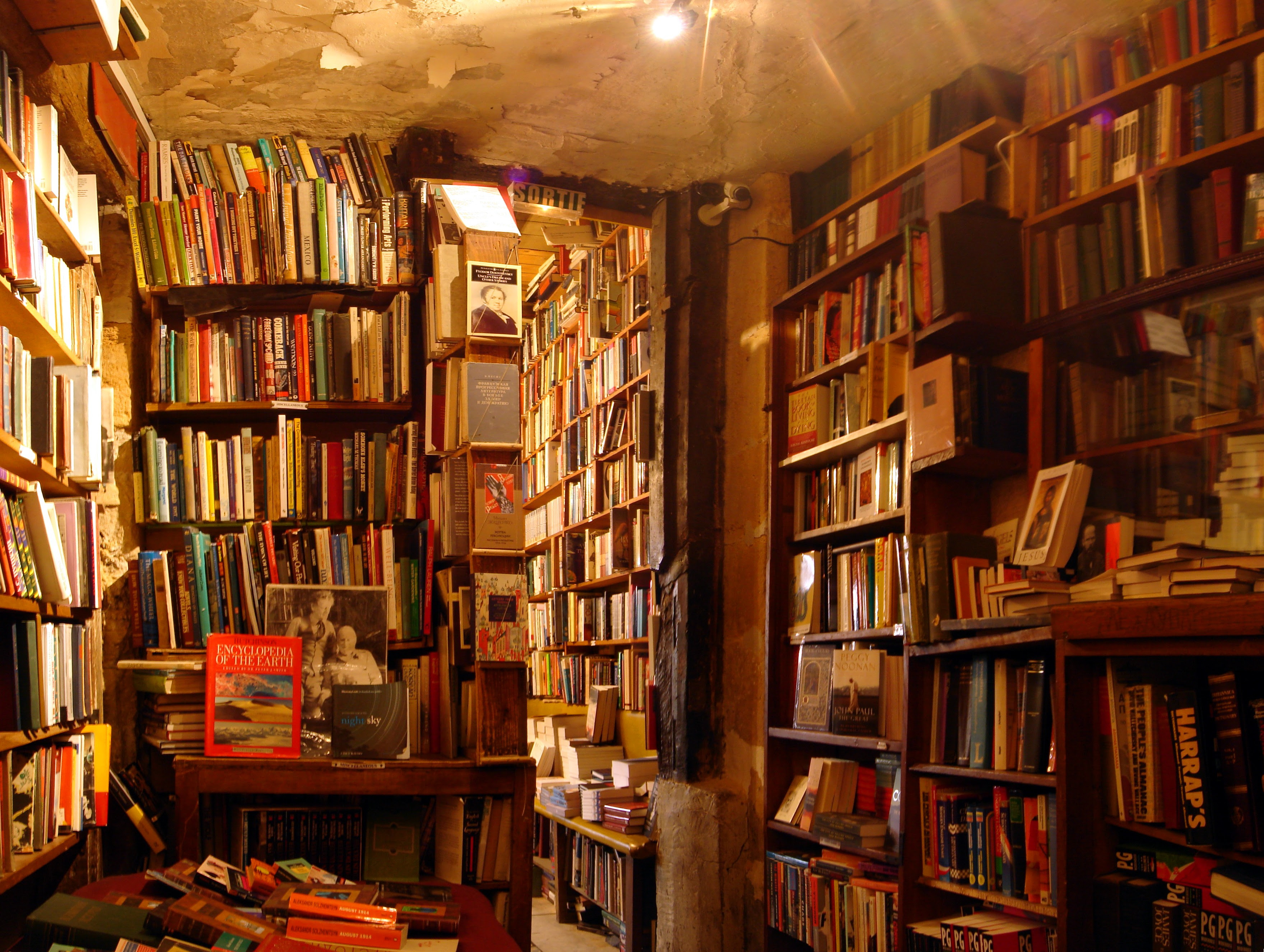 Bookstore Browsing And Chaos Theory Albino Books