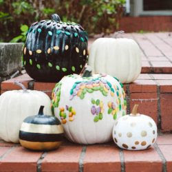 hoawg-pumpkin-seed-pumpkins-10-of-101