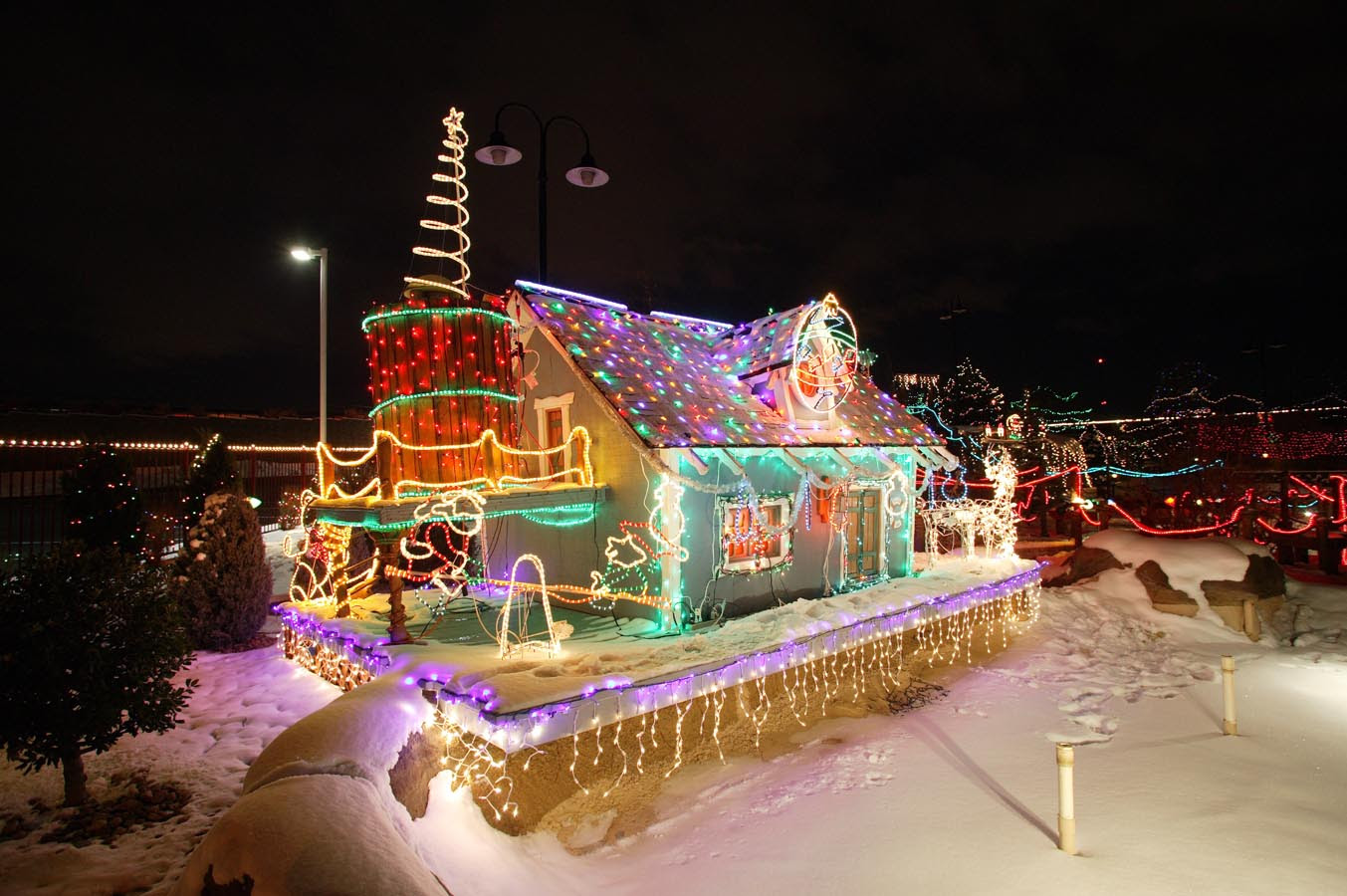 kasey smith wonderland
