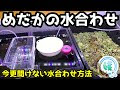 √100以上 メダカ 水合わせ 不要 280856-メダカ 水合わせ 不要