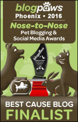 BlogPaws 2015 Nose-to-Nose Awards Finalist badge