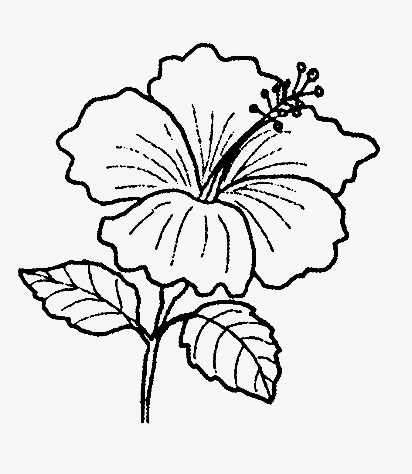 Gambar Pohon Hitam Putih ClipArt Best Gambar Pohon Hitam Putih ClipArt Best