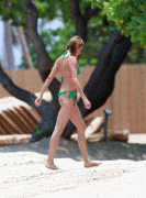 Cameron Diaz Bikini Pictures