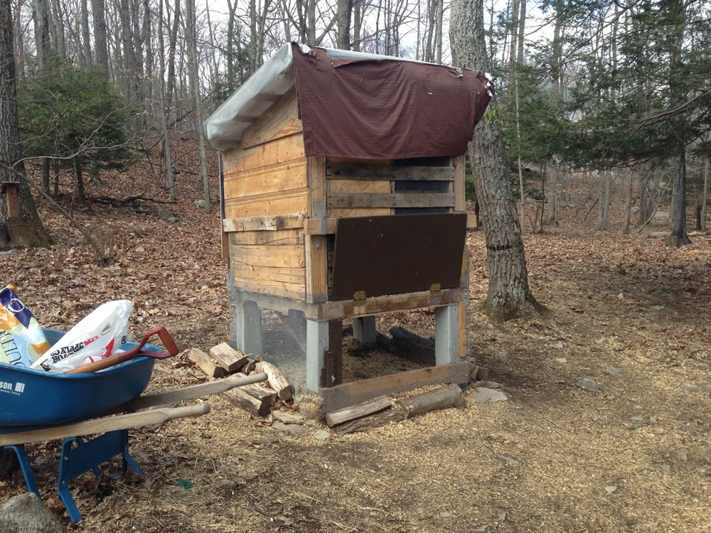 nerd's thoughts on owning free-range, egg-laying chickens ...