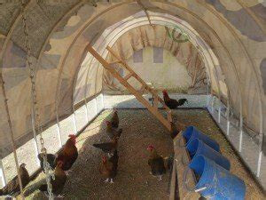 update  portable chicken coop designs claborn farms