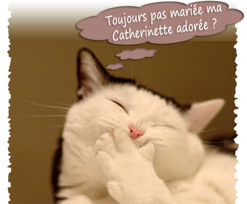 Bonne Fete Aux Catherine Cathy