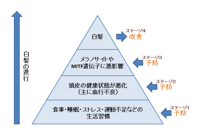 白髪の原因とメカニズム あなたはどのステージ ヘッドスパ専門店が教える頭皮ケア ヘアケア