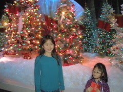 Talking and Singing Christmas Trees
