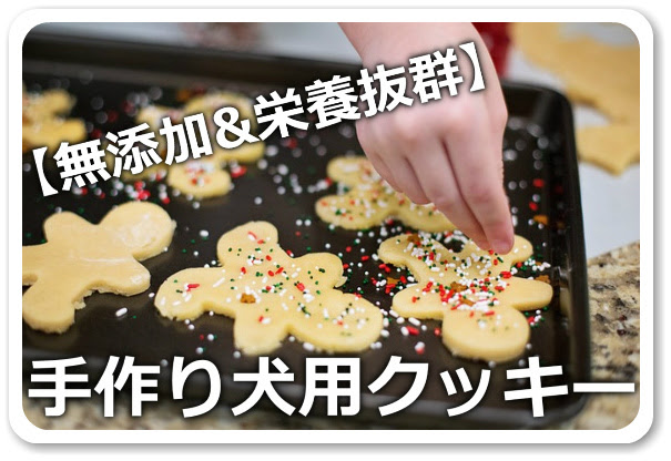 無添加 栄養抜群 犬のクッキー手作り簡単レシピ7選 ドッグフード博士