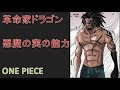 [コンプリート！] ドラゴン ワンピース 能力 340920-ド��ゴン ワンピース 能力
