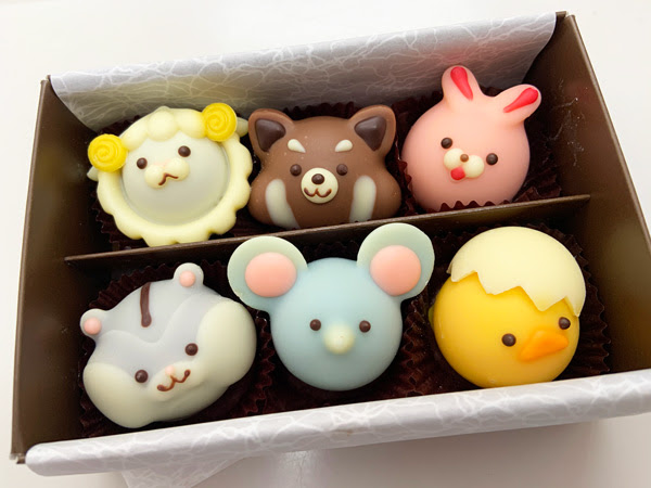 可愛いチョコレート アーク学院ブログ