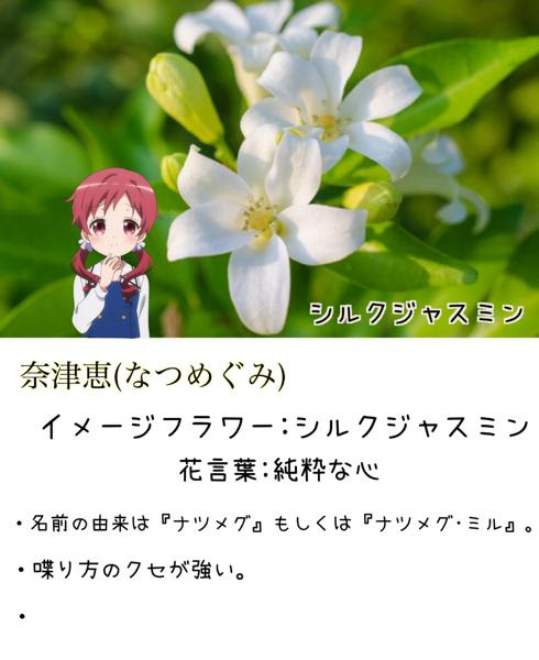 ところでナツメグって何 ジャスミンへのボケ ボケて Bokete