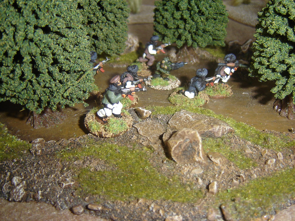 Taliban advance into grove