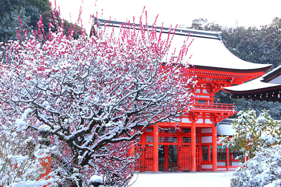 下鴨神社 雪