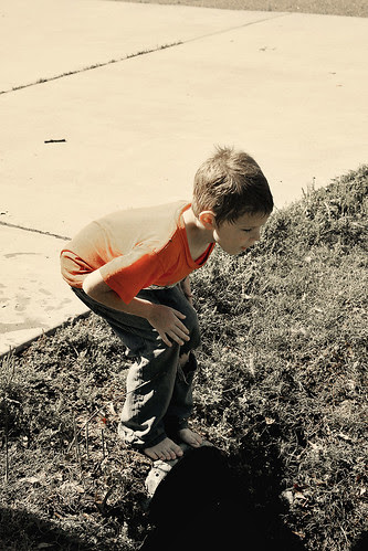 flood7