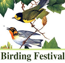 roger tory peterson institute birding fest
