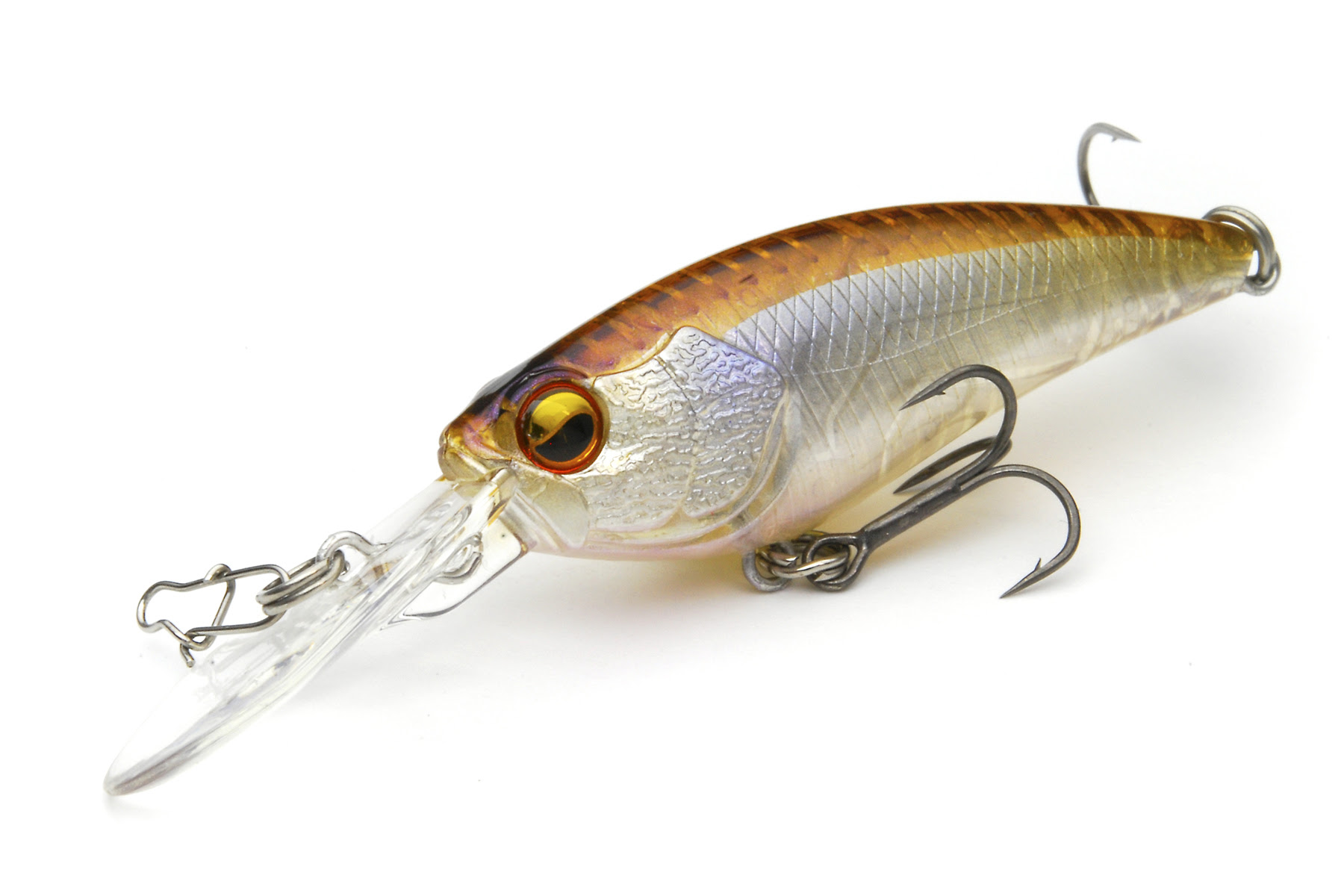 Level Shad Raid Japan