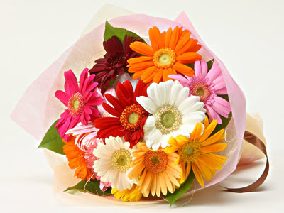 12月ガーベラの花束 誕生花の通販 宅配 誕生日に誕生月の花束を 花のギフトはwfs