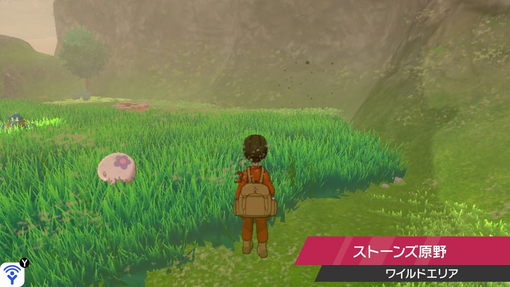 ポケモン剣盾 メタモンってどこにいる 2か所のメタモン案内ツアー めくるめくゲームの世界