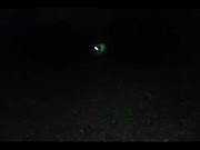Menarik burung tidur di malam hari ada suara aneh, paling dicari!