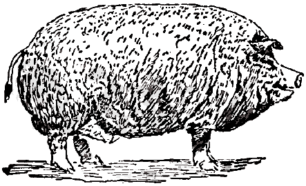 Image Result For China