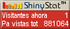 Audiencia web