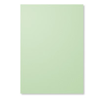 Card Stock A4 Pistachio Pudding