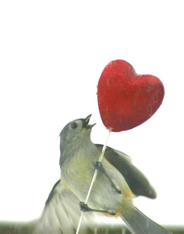 Fun & Info @ Keralites.net