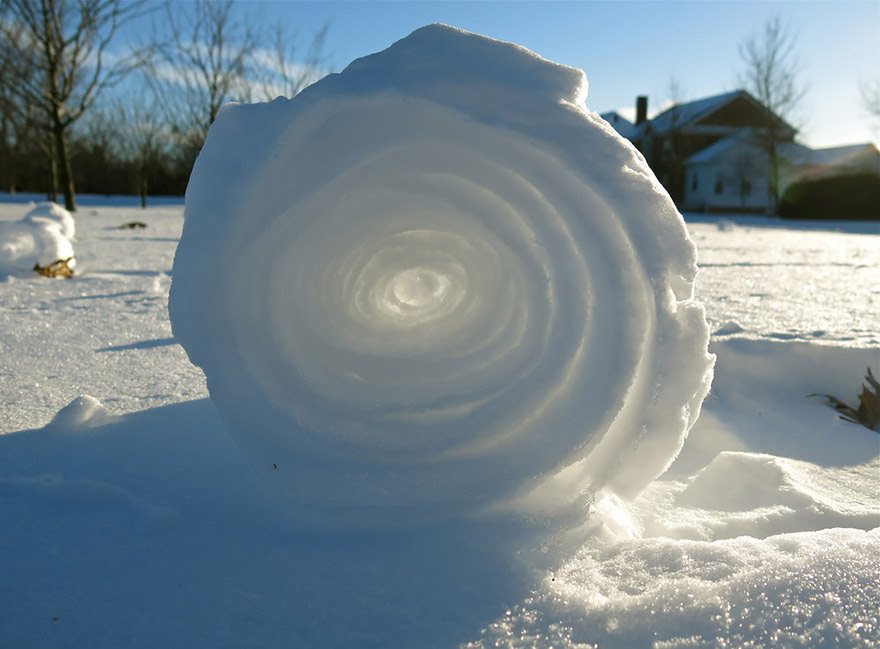 Snow                                                            Roller
