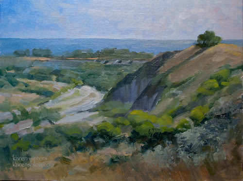 San Mateo Creek San Clemente Plein Air Oil Painting by kwint