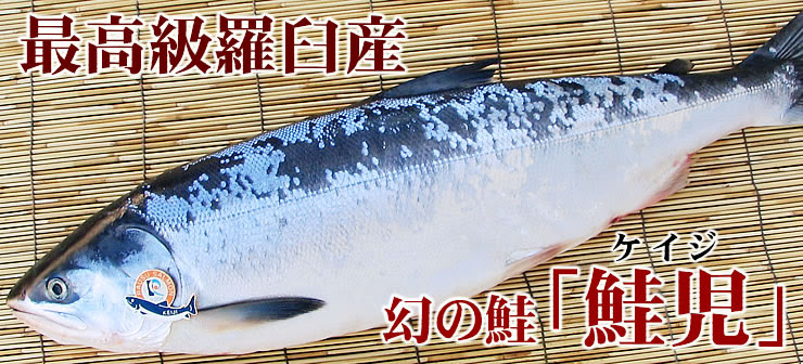 幻の魚 鮭児 ケイジ と時知不 ときしらず 時鮭 お取寄せぐるめマップ