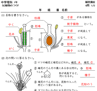 理科 時空先生のドリルプリント