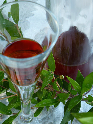 Liquore di Mirto di Claudia (Nanino) (it) | briggishome