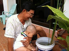 Grandpa showing grandson fish
