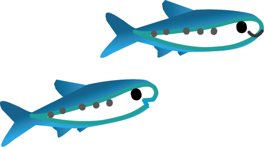 魚のイラスト 無料イラストフリー素材