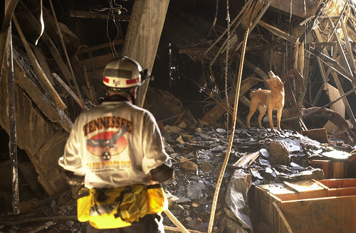2001-09-14_FEMA4523