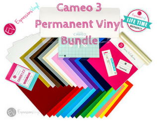 Expressions Vinyl Cameo 3 Permanent Vinyl Bundle