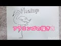 √99以上 フラミンゴ 可愛い イラスト 131879-フラミンゴ 可愛い イラスト