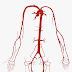 Arteries Diagram Unlabeled - 1 : Make flashcards/notecards for your textbooks with this free edtech tool.