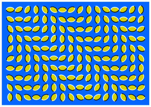 no motion