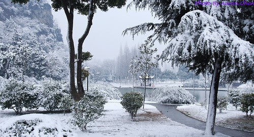 中國蘇州昆山的亭林公園